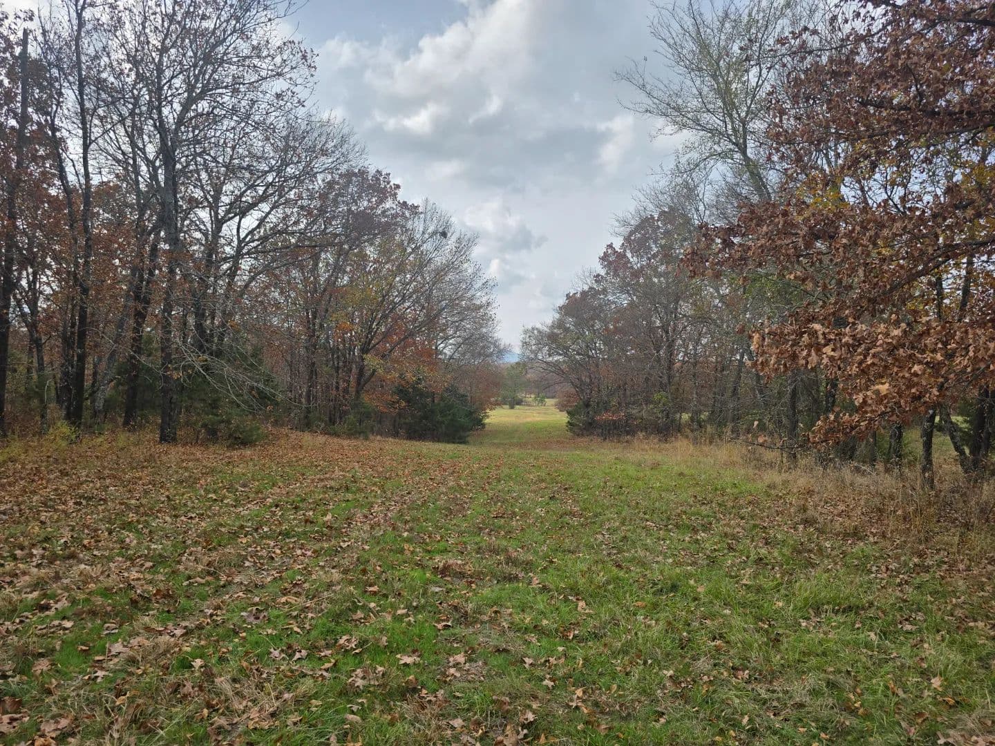 30 ACRES WITH SARDIS LAKE VIEW in Oklahoma - photo 17
