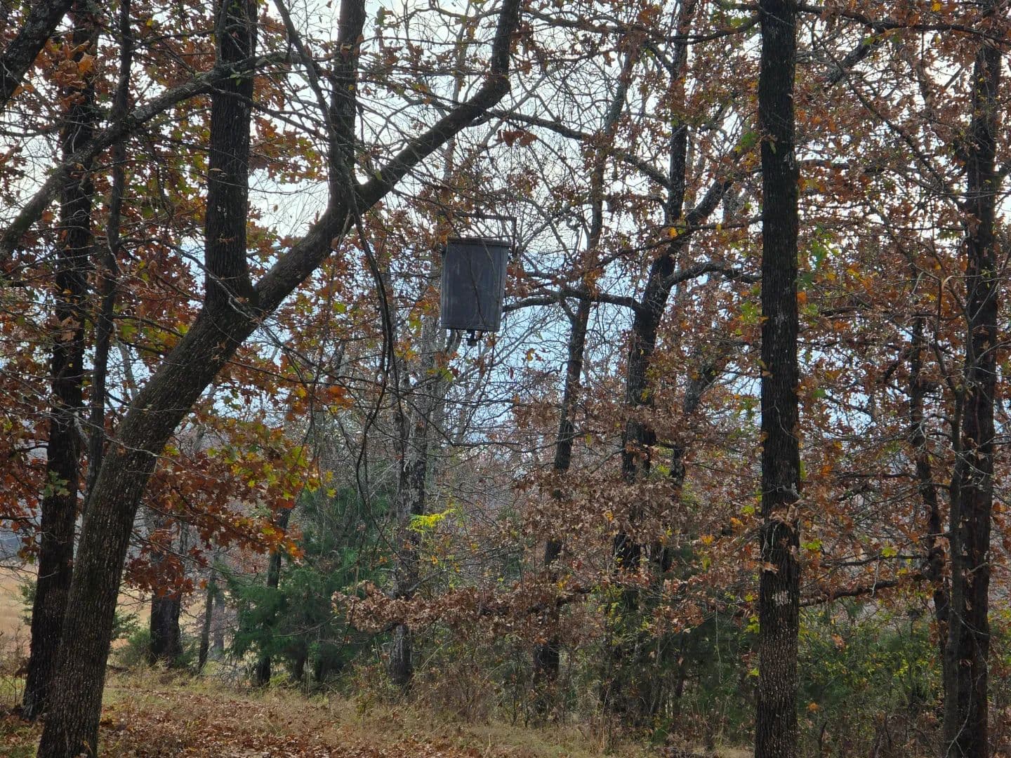30 ACRES WITH SARDIS LAKE VIEW in Oklahoma - photo 18