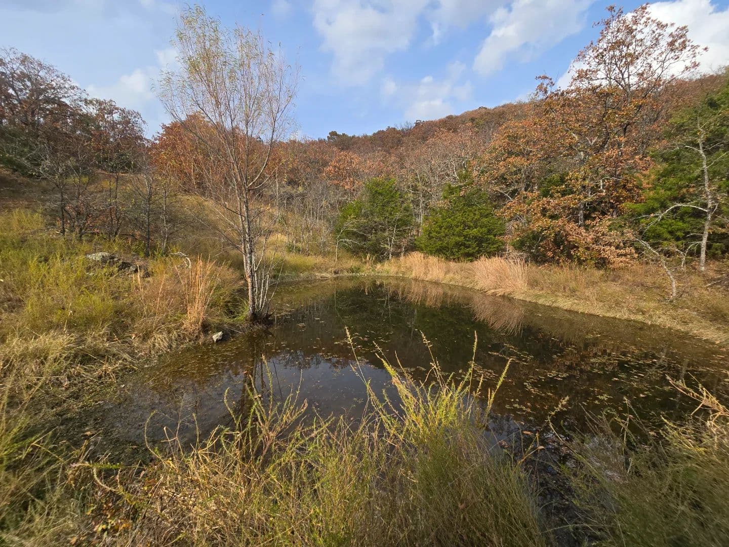 30 ACRES WITH SARDIS LAKE VIEW in Oklahoma - photo 27