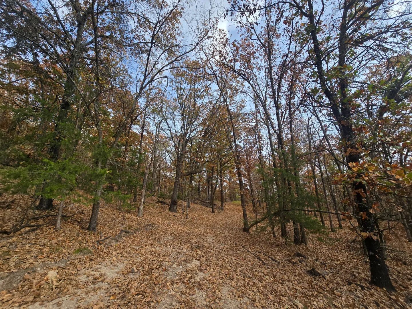 30 ACRES WITH SARDIS LAKE VIEW in Oklahoma - photo 30