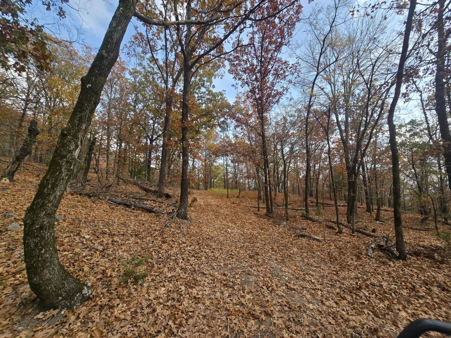 30 ACRES WITH SARDIS LAKE VIEW in Oklahoma - photo 31