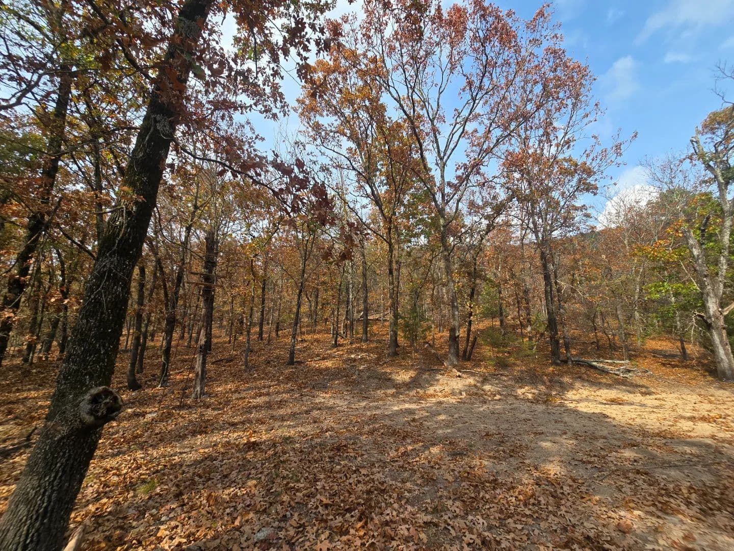 30 ACRES WITH SARDIS LAKE VIEW in Oklahoma - photo 32
