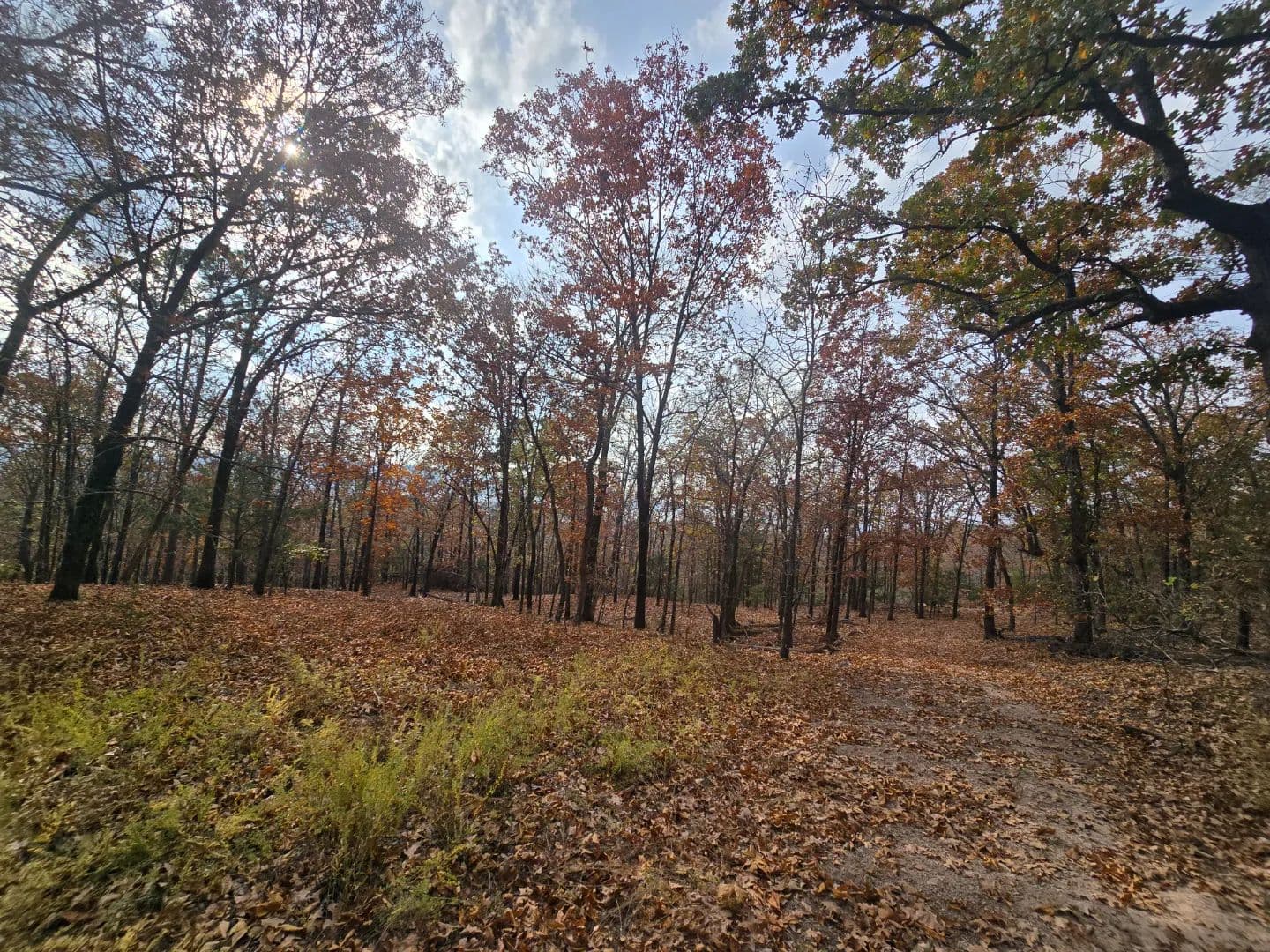 30 ACRES WITH SARDIS LAKE VIEW in Oklahoma - photo 33