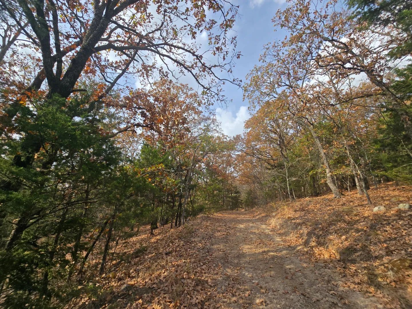 30 ACRES WITH SARDIS LAKE VIEW in Oklahoma - photo 38