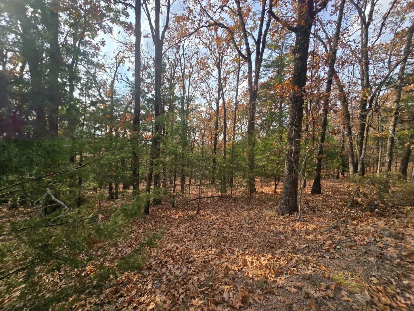 30 ACRES WITH SARDIS LAKE VIEW in Oklahoma - photo 40