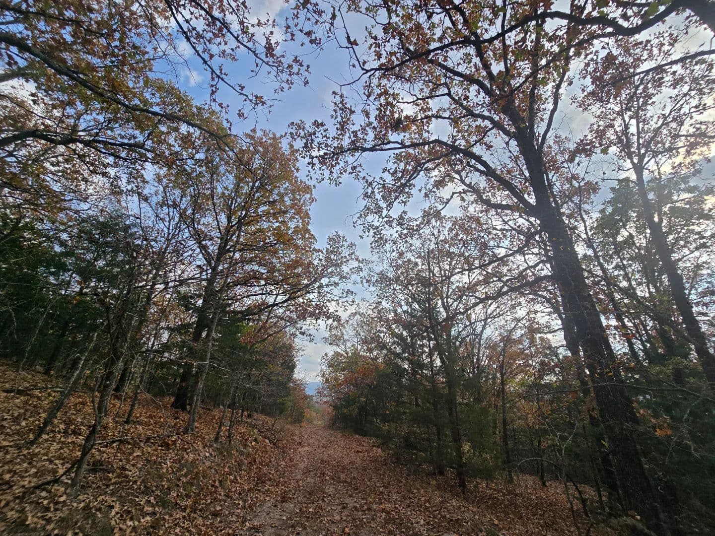 30 ACRES WITH SARDIS LAKE VIEW in Oklahoma - photo 41