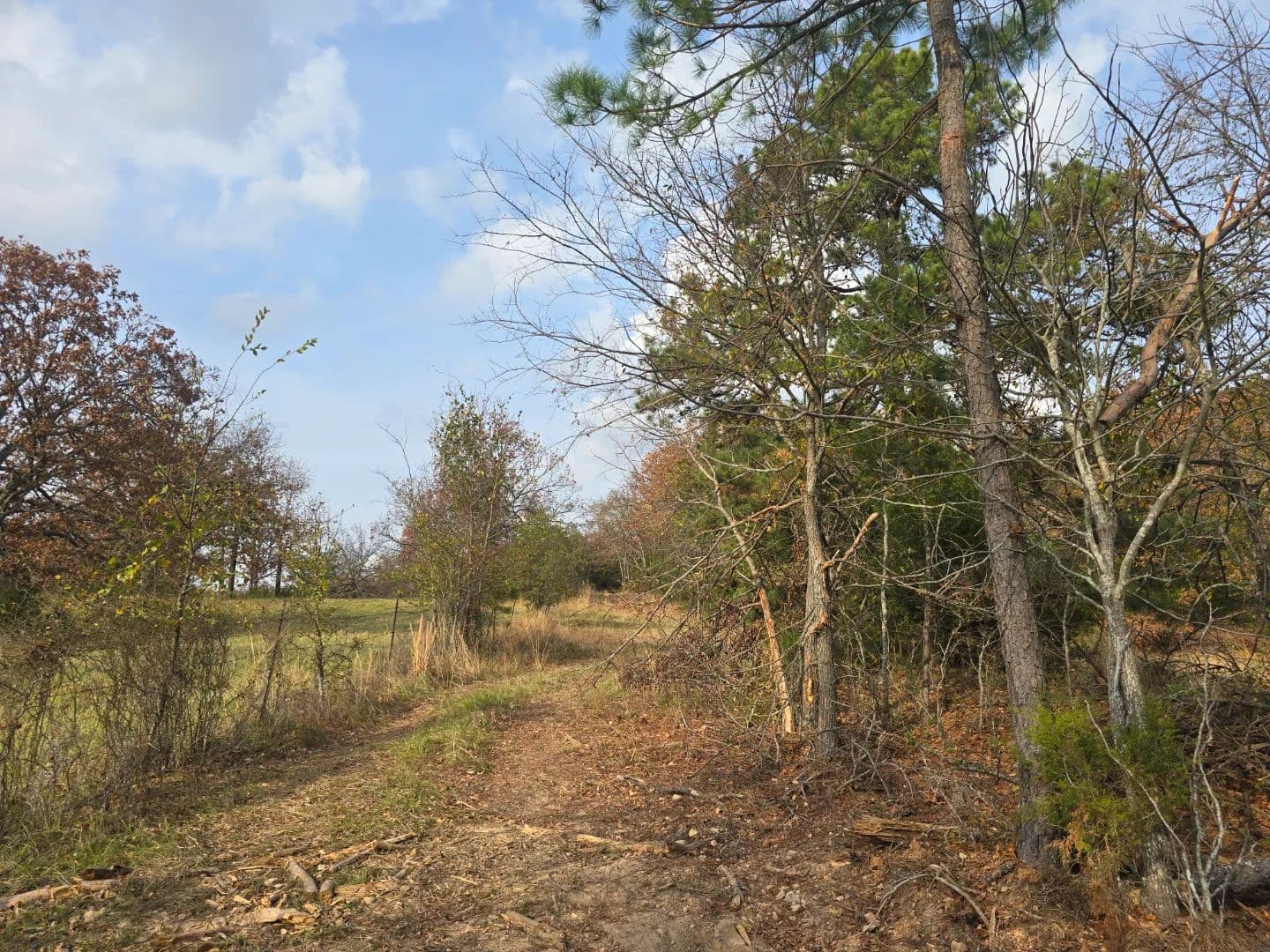 30 ACRES WITH SARDIS LAKE VIEW in Oklahoma - photo 44