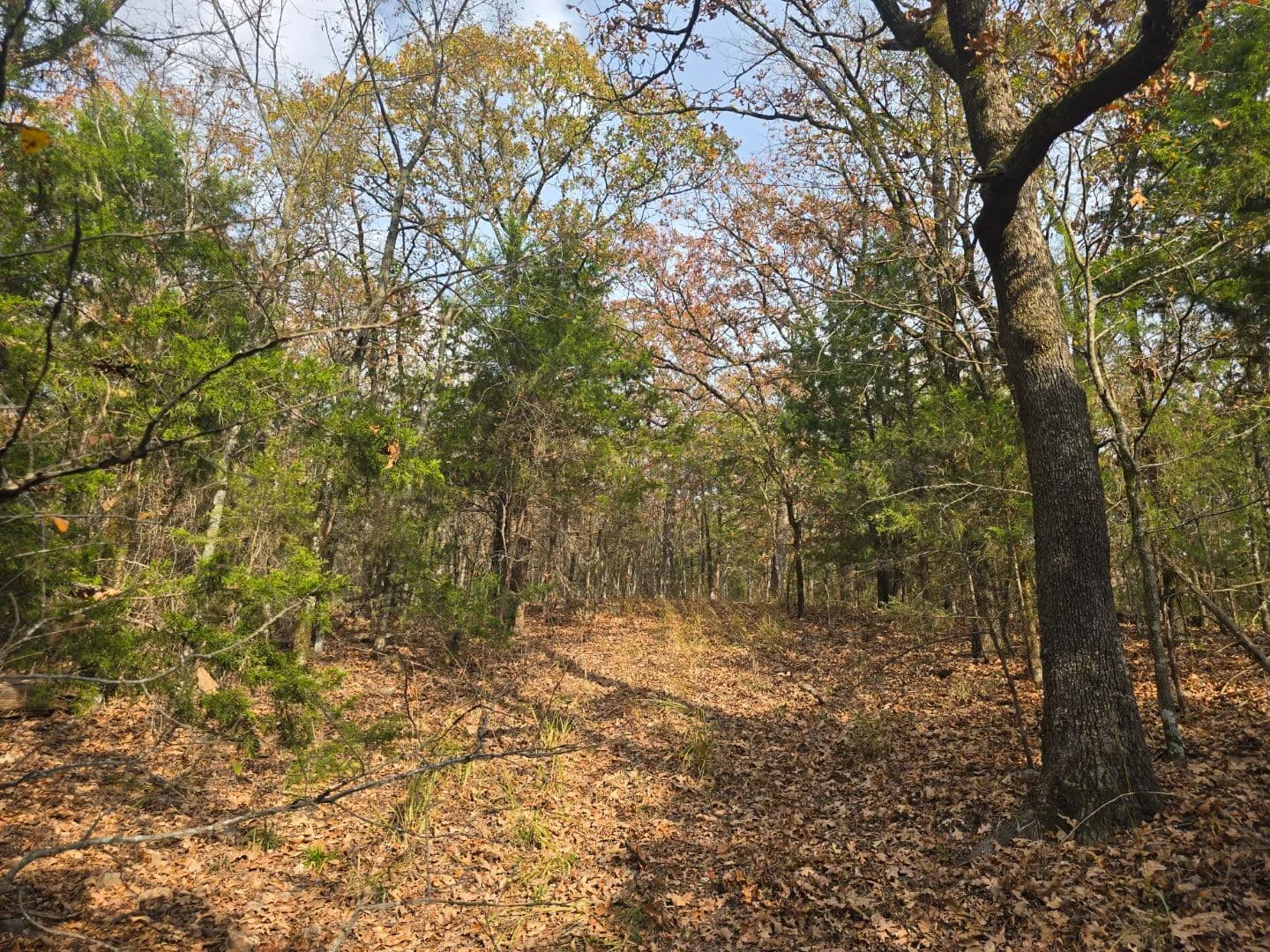 30 ACRES WITH SARDIS LAKE VIEW in Oklahoma - photo 46