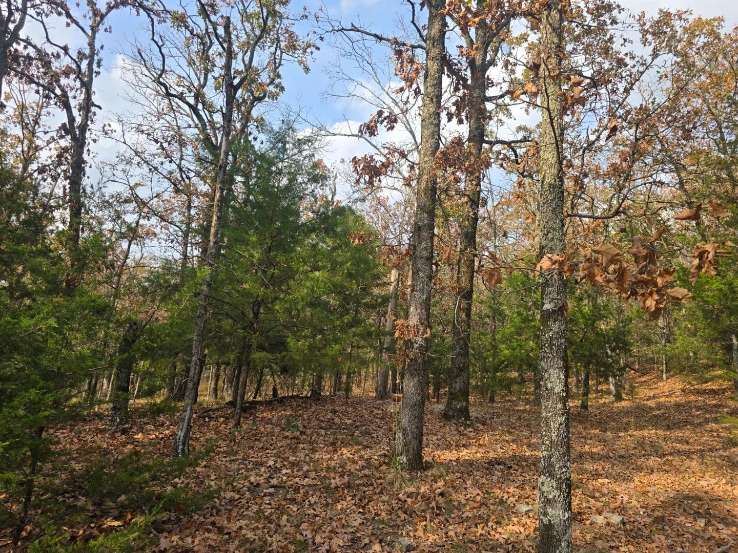 30 ACRES WITH SARDIS LAKE VIEW in Oklahoma - photo 47