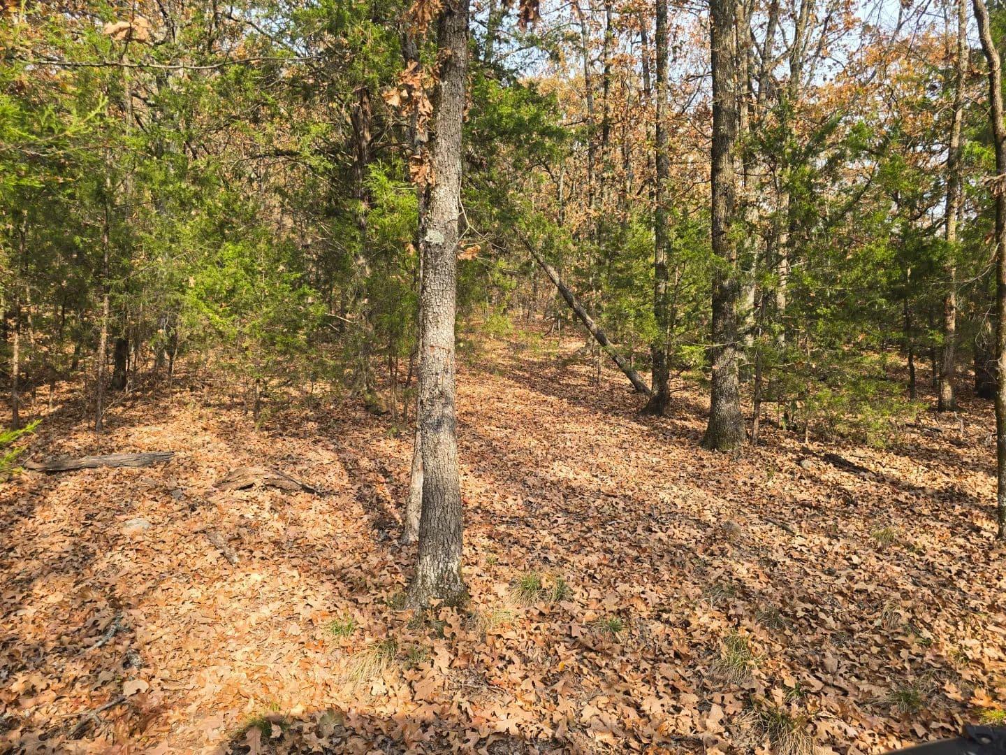 30 ACRES WITH SARDIS LAKE VIEW in Oklahoma - photo 48