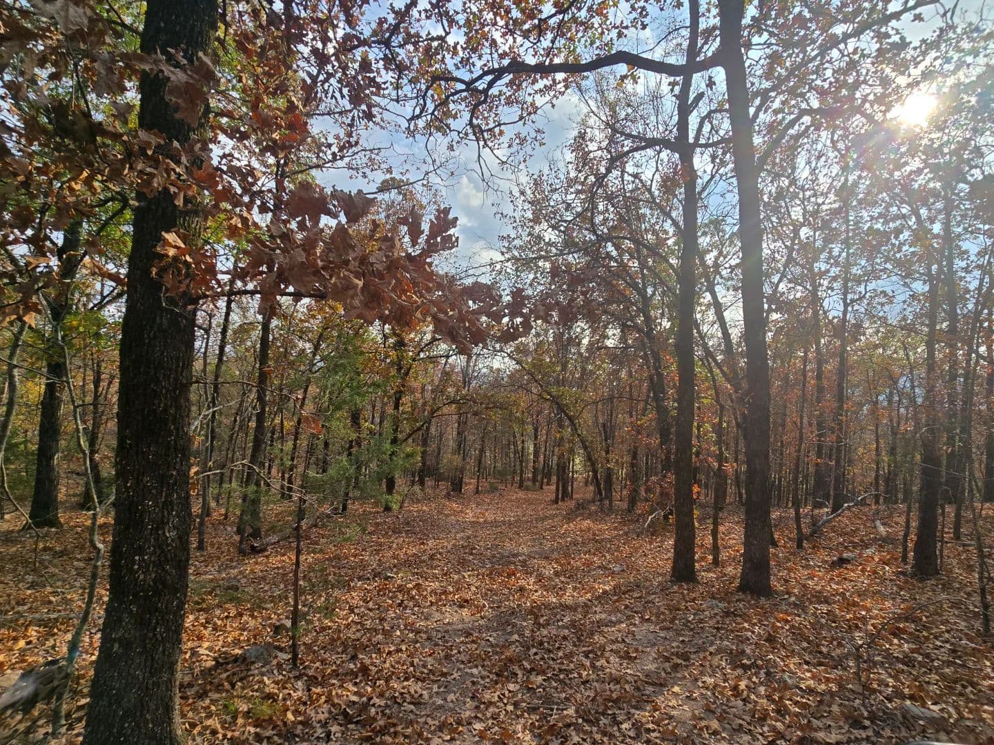 30 ACRES WITH SARDIS LAKE VIEW in Oklahoma - photo 49