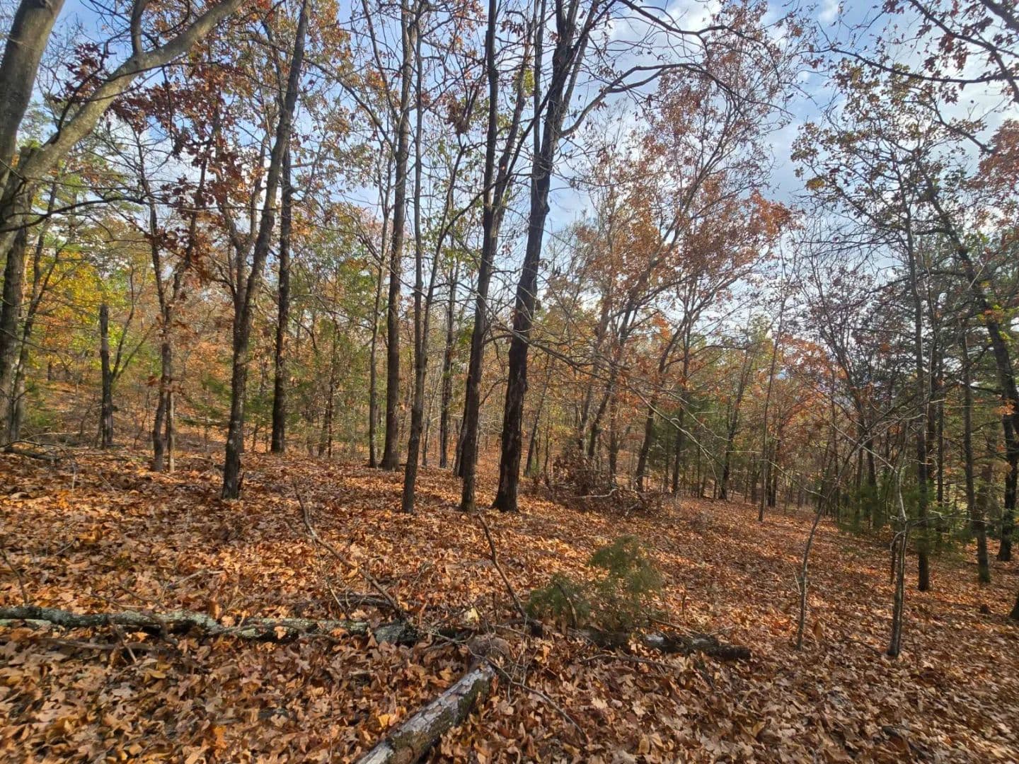 30 ACRES WITH SARDIS LAKE VIEW in Oklahoma - photo 4