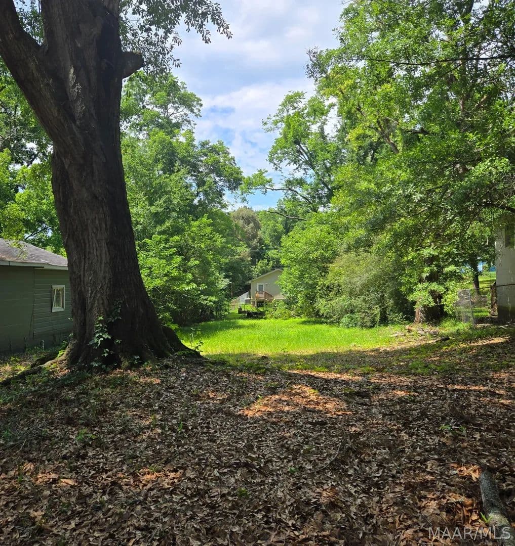 Property from 2150 DOROTHY Street - KW - Montgomery, Alabama, 36108