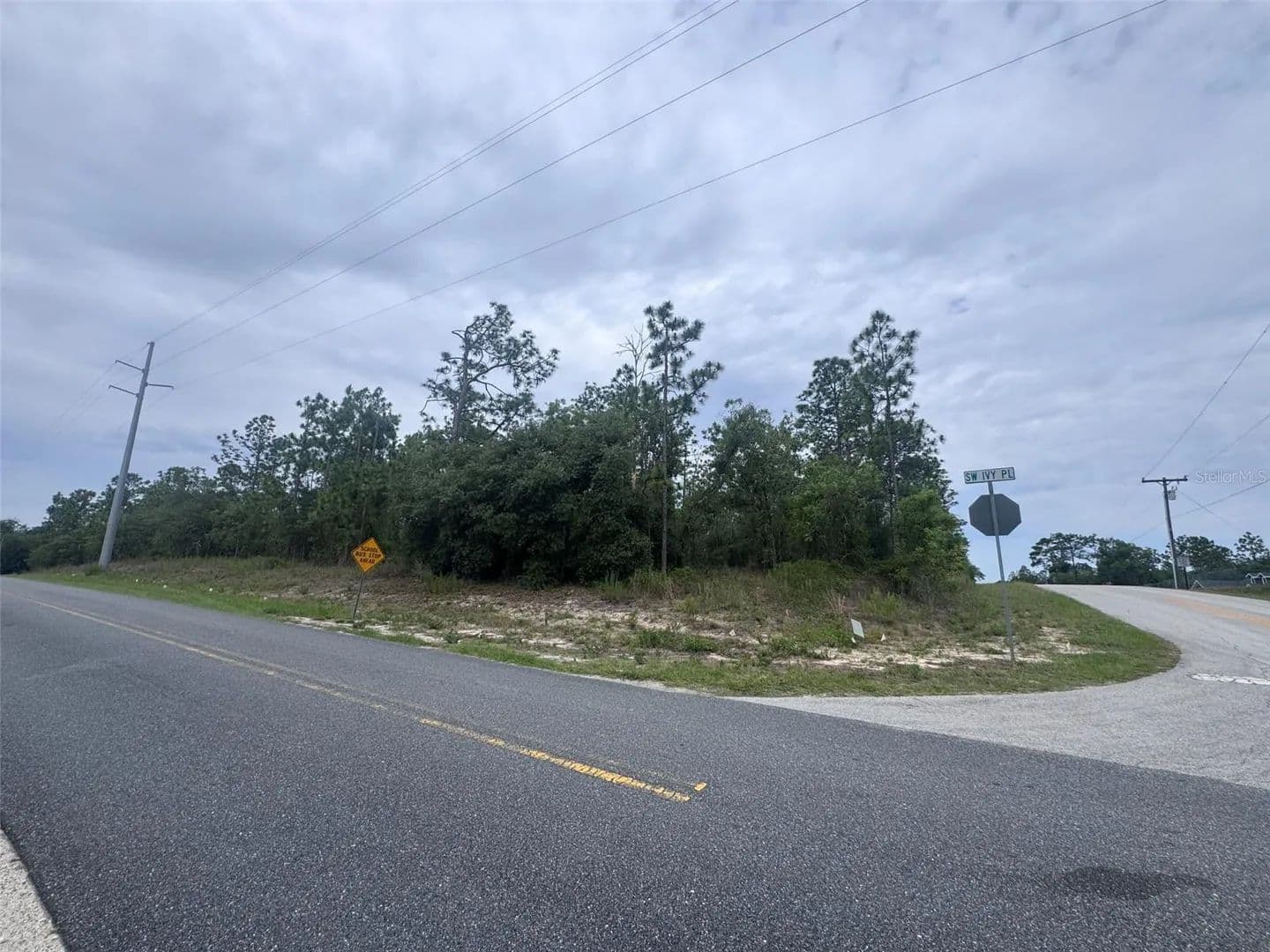 1.98 Acres of Land for Sale in Dunnellon, Florida - Dunnellon, Florida, 34431