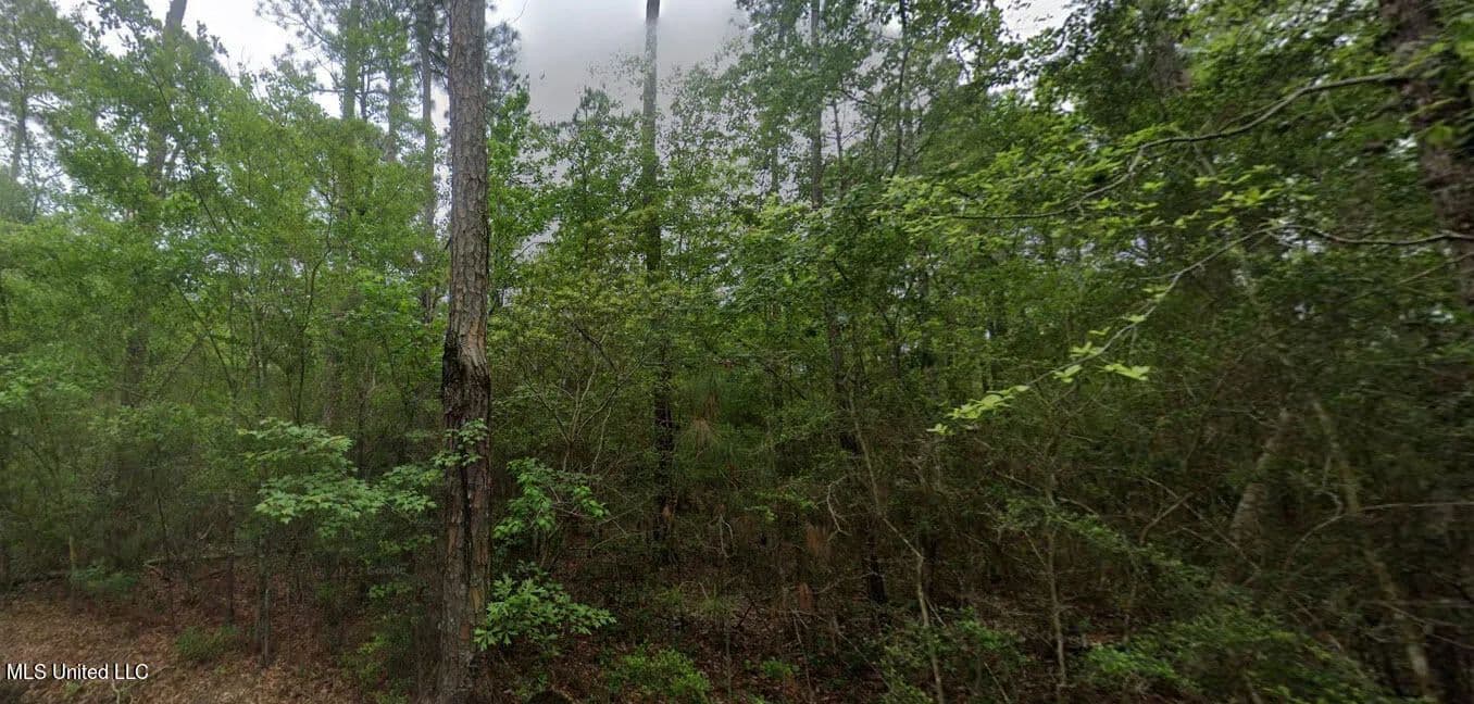 Vacant Land in Bay Saint Louis - land for sale