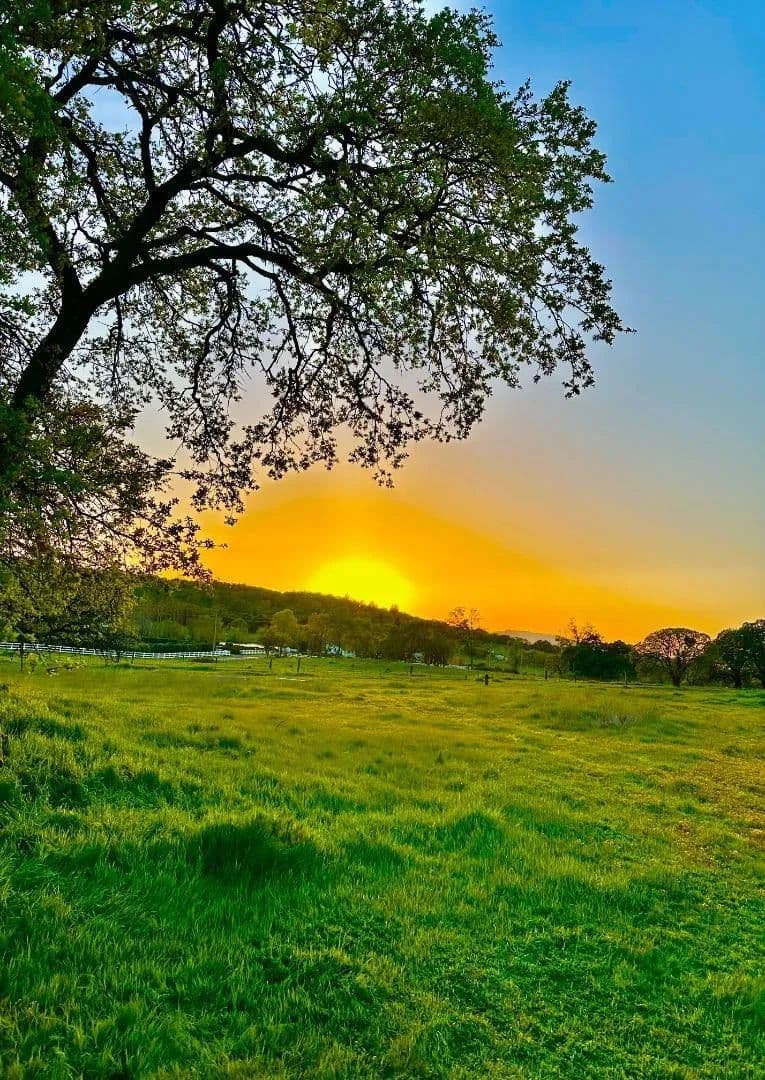 Property from 159 Albright Court - KW - Angels Camp, California, 95222