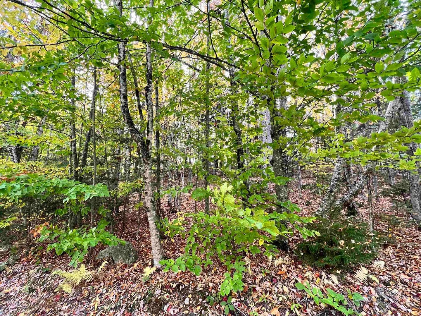 Property from 400 Road Round The Lake - KW - Grantham, New Hampshire, 3753