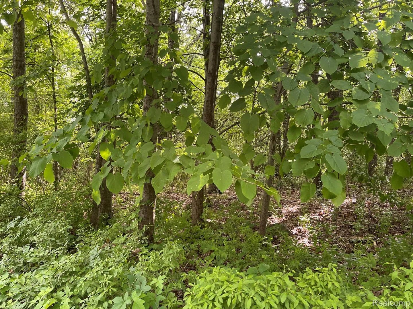 Property from 08 Tipsico Lake - KW - , Michigan, 48357