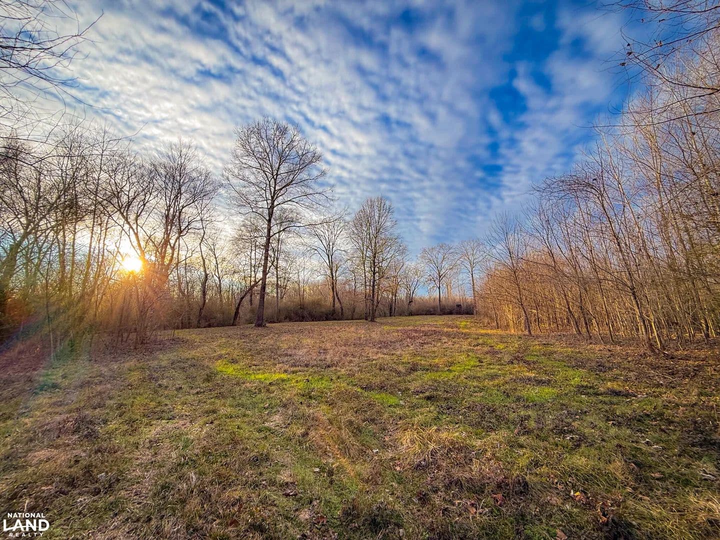 Beautiful Black Warrior Riverfront Property Near Moundville - Moundville, Alabama, 35474