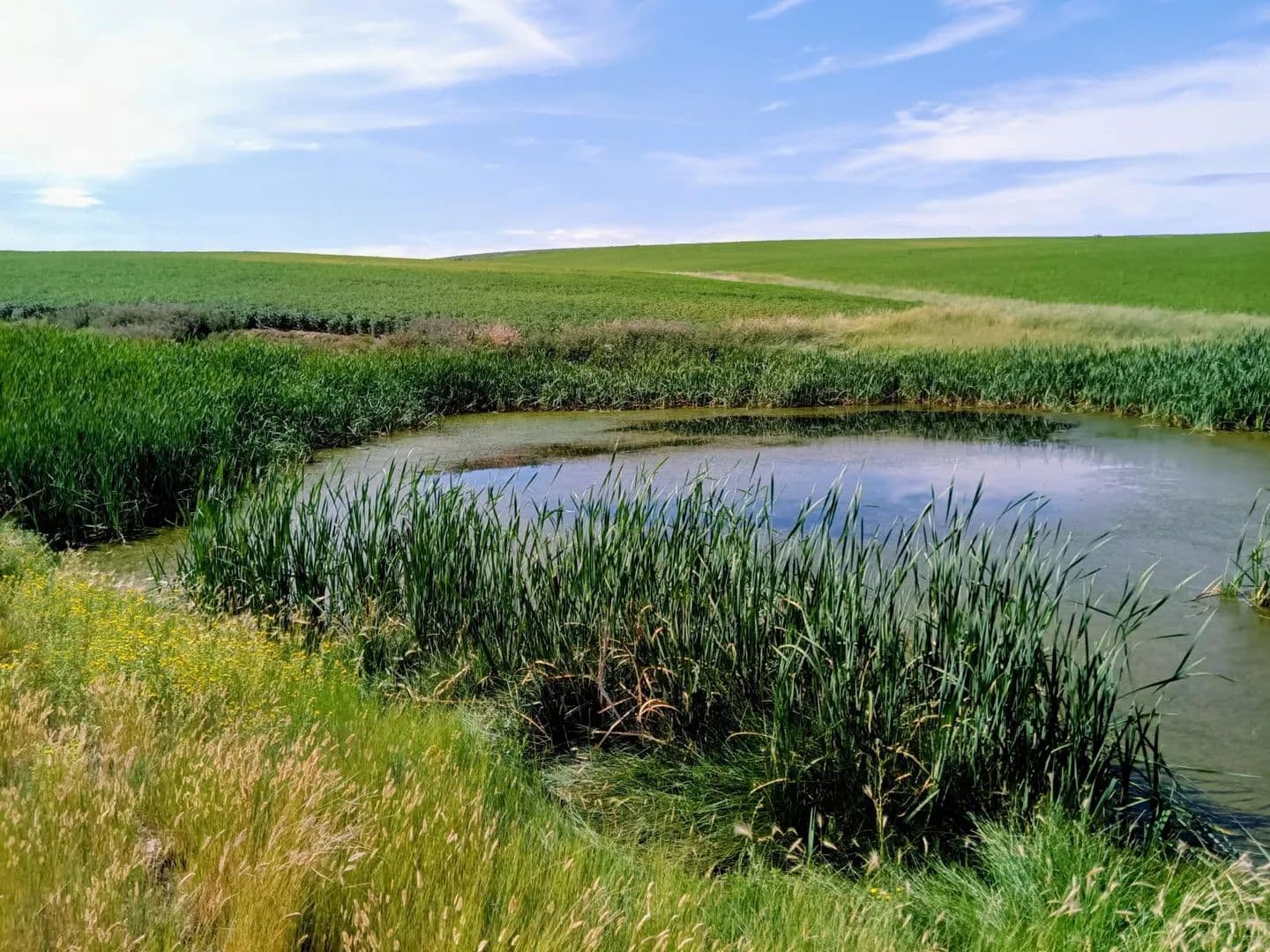 Round Bale Ranch - Craig, Colorado, 81625
