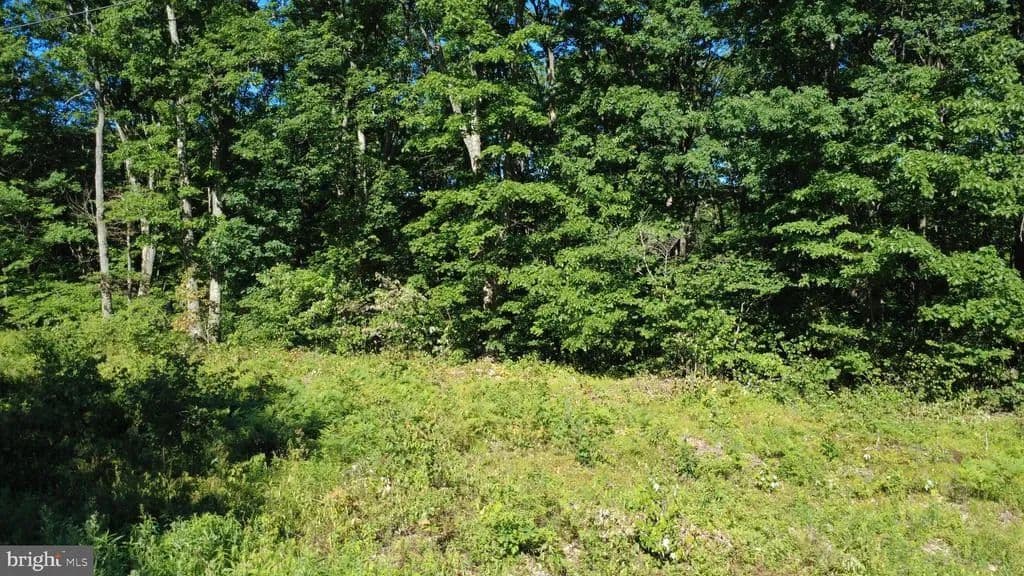 1.07 Acres of Land for Sale in PHILIPSBURG, PA - Philipsburg, Pennsylvania, 16866