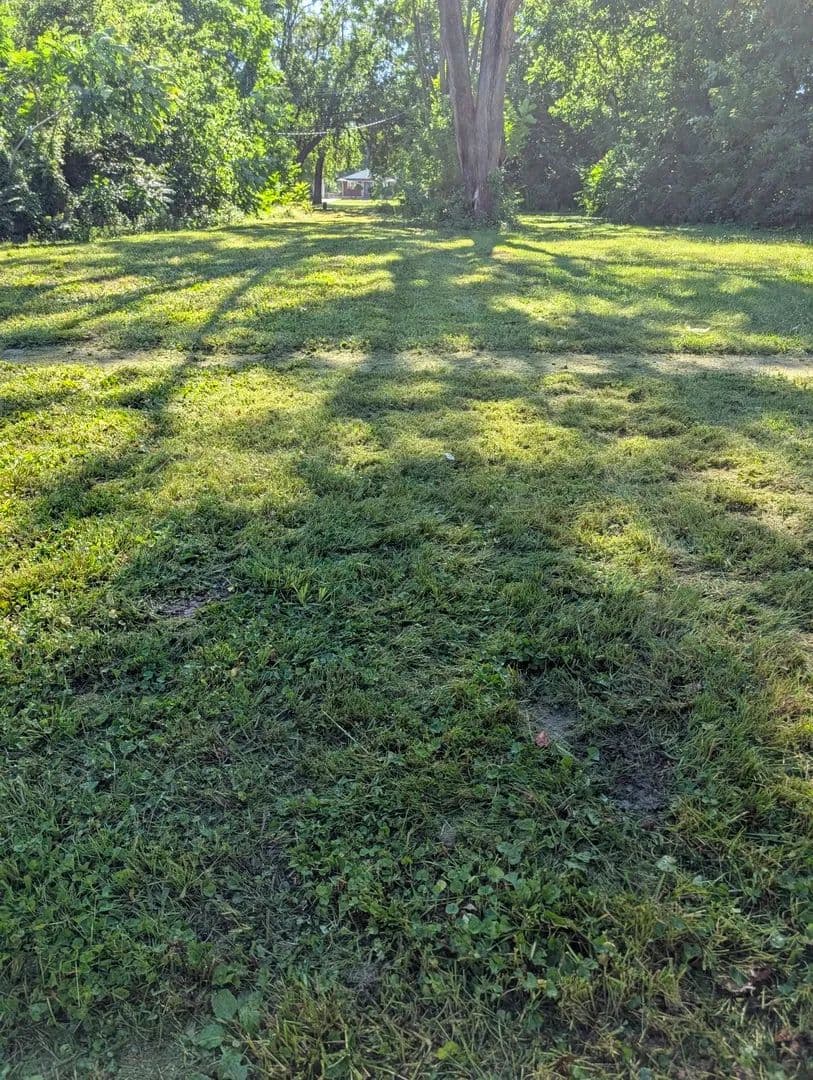 Property from 1522 S 15th Street - KW - Springfield, Illinois, 62703