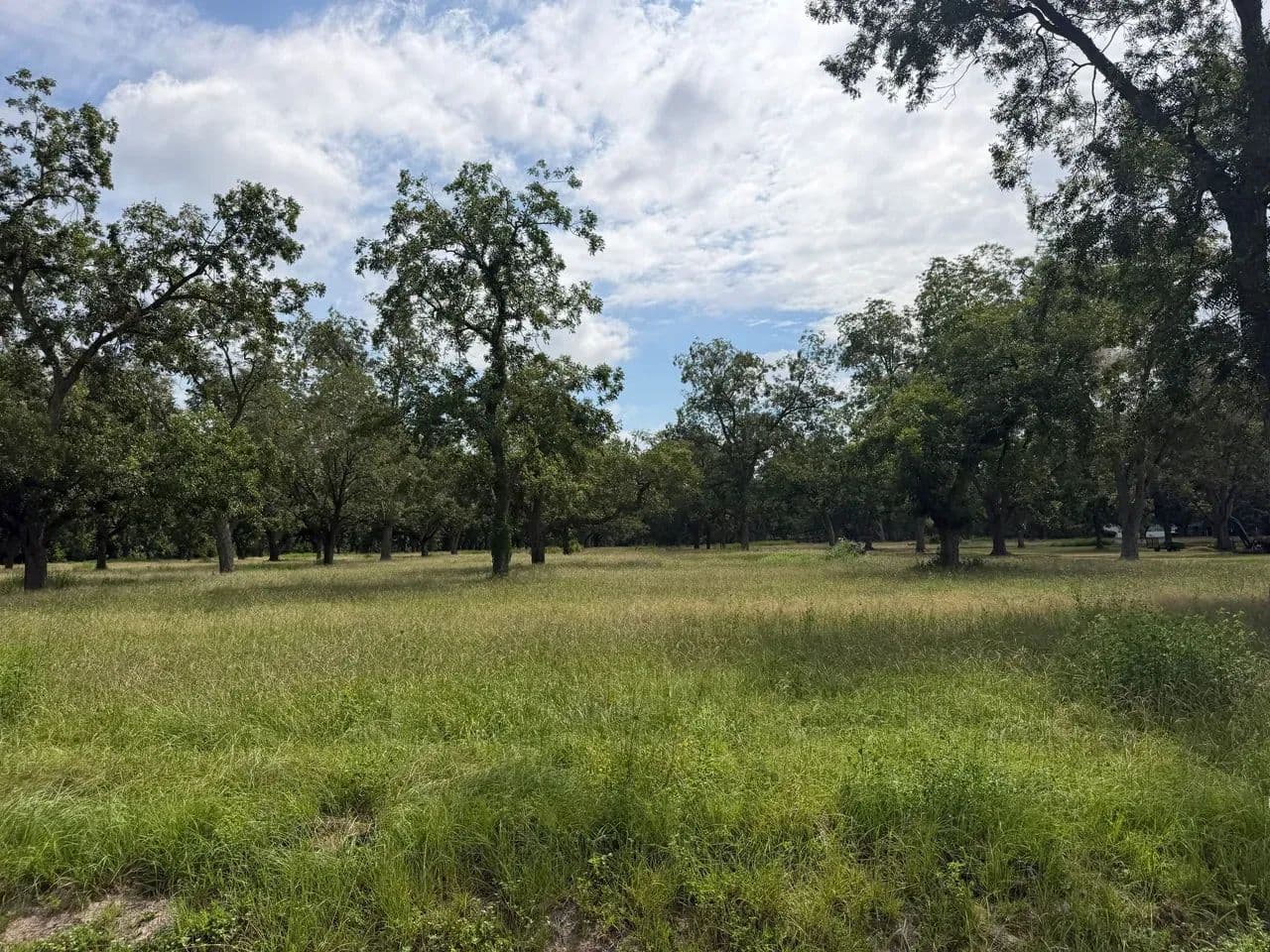 1.97 Acres Homesite on E Wacona Dr (Tract 3) - Waycross, Georgia, 31501