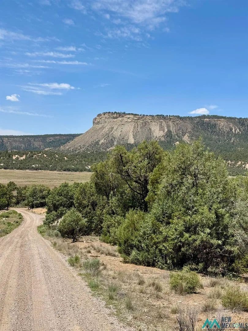 Property from TBD Cedar Circle - KW - Los Ojos, New Mexico, 87575