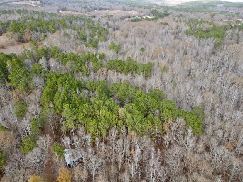 Shep's Hideaway | 17 +/- Acres in Clay County