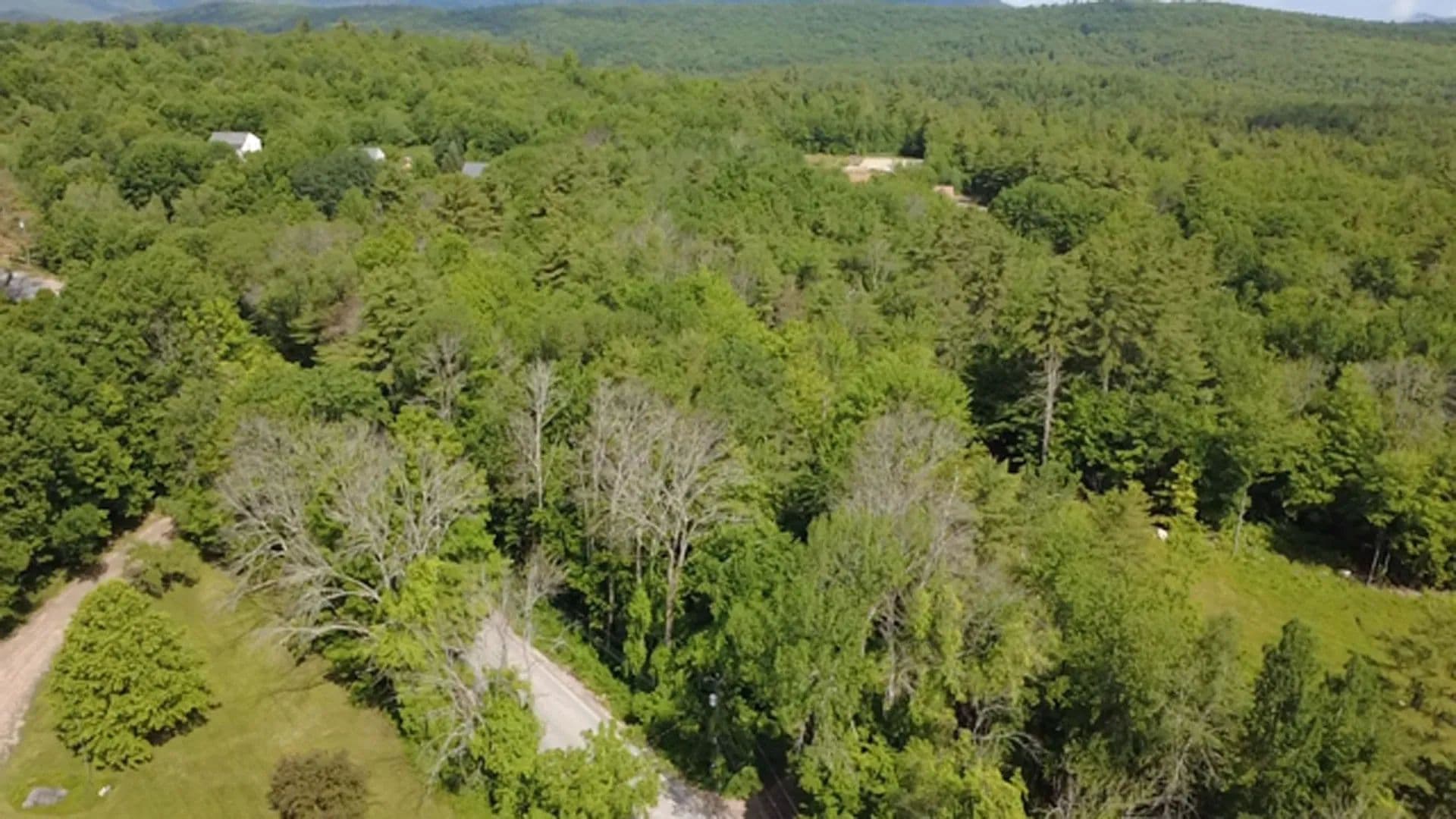 Property from 5 Brian Road - KW - Ossipee, New Hampshire, 3864