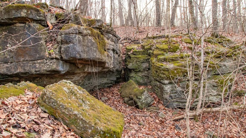 Lake of the Ozarks: 6± Acres with Indian Creek Views - Morgan County