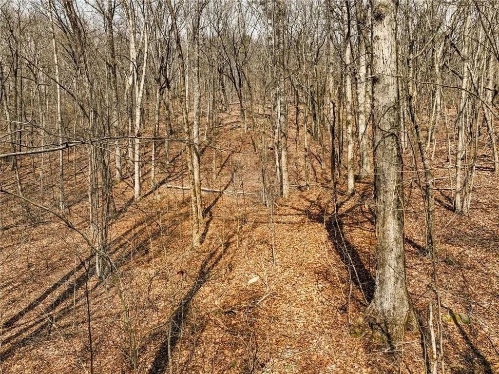 3.16 Acres of Land for Sale in Murrayville, GA - Murrayville, Georgia, 30564