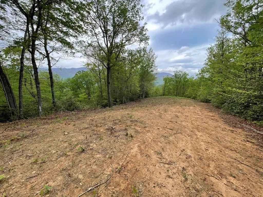 Property from Lot 7 Copperhead Cove - KW - Sylva, North Carolina, 28779