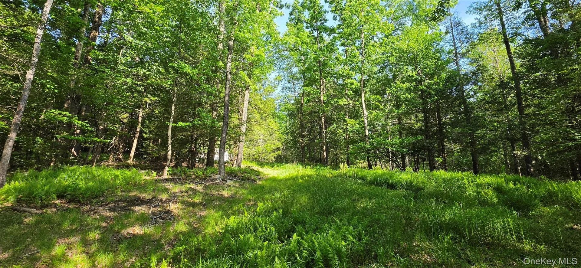 Property from 00 Church aka Pan Am Road - KW - Mountain Dale, New York, 12763