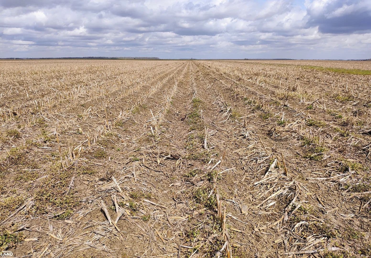 160 Acres Irrigated Farmland-East Carroll Parish - Alsatia, Louisiana, 71286
