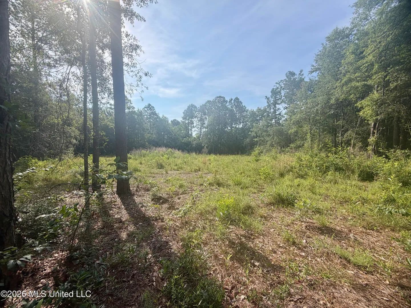 Property from 112 Pine Ridge Drive - KW - Picayune, Mississippi, 39466