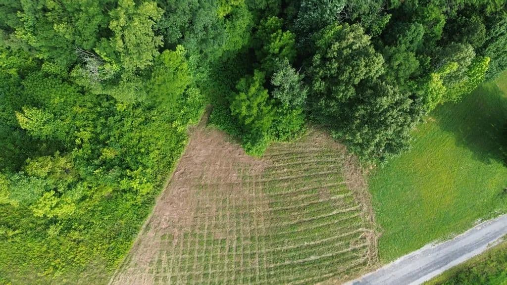 0.97 Acres of Land for Sale in Smithville, TN - Smithville, Tennessee, 37166