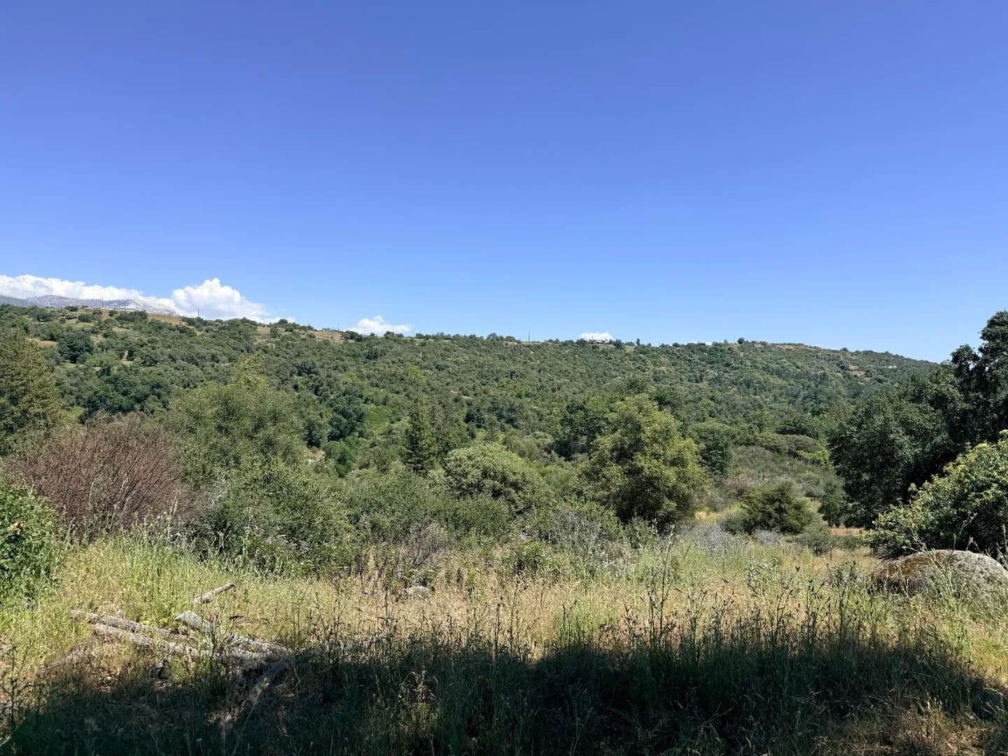 Property from 1 Highway 245 - KW - Badger, California, 93603
