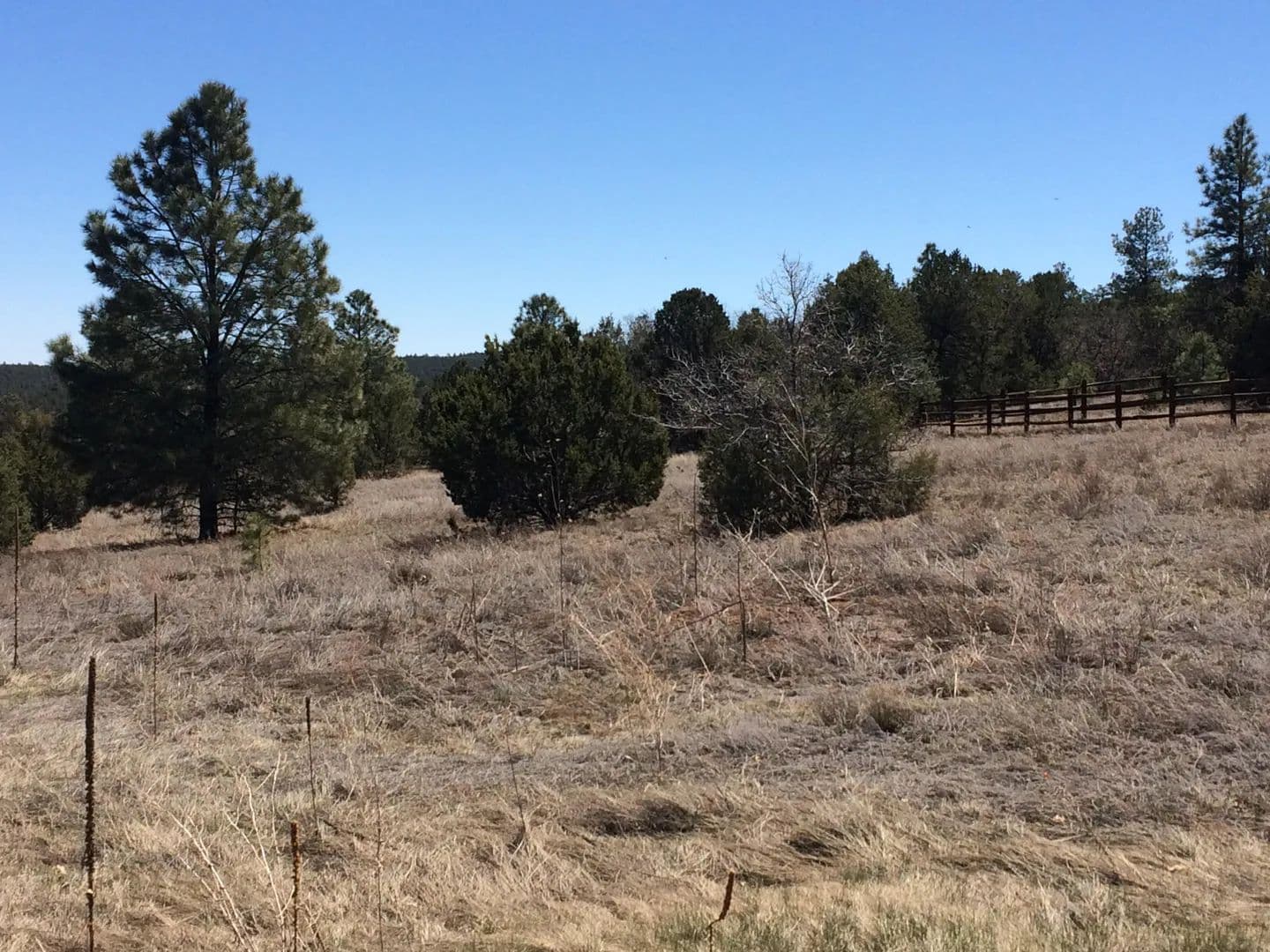 Property from 10 WOODLAND Court - KW - Tijeras, New Mexico, 87059