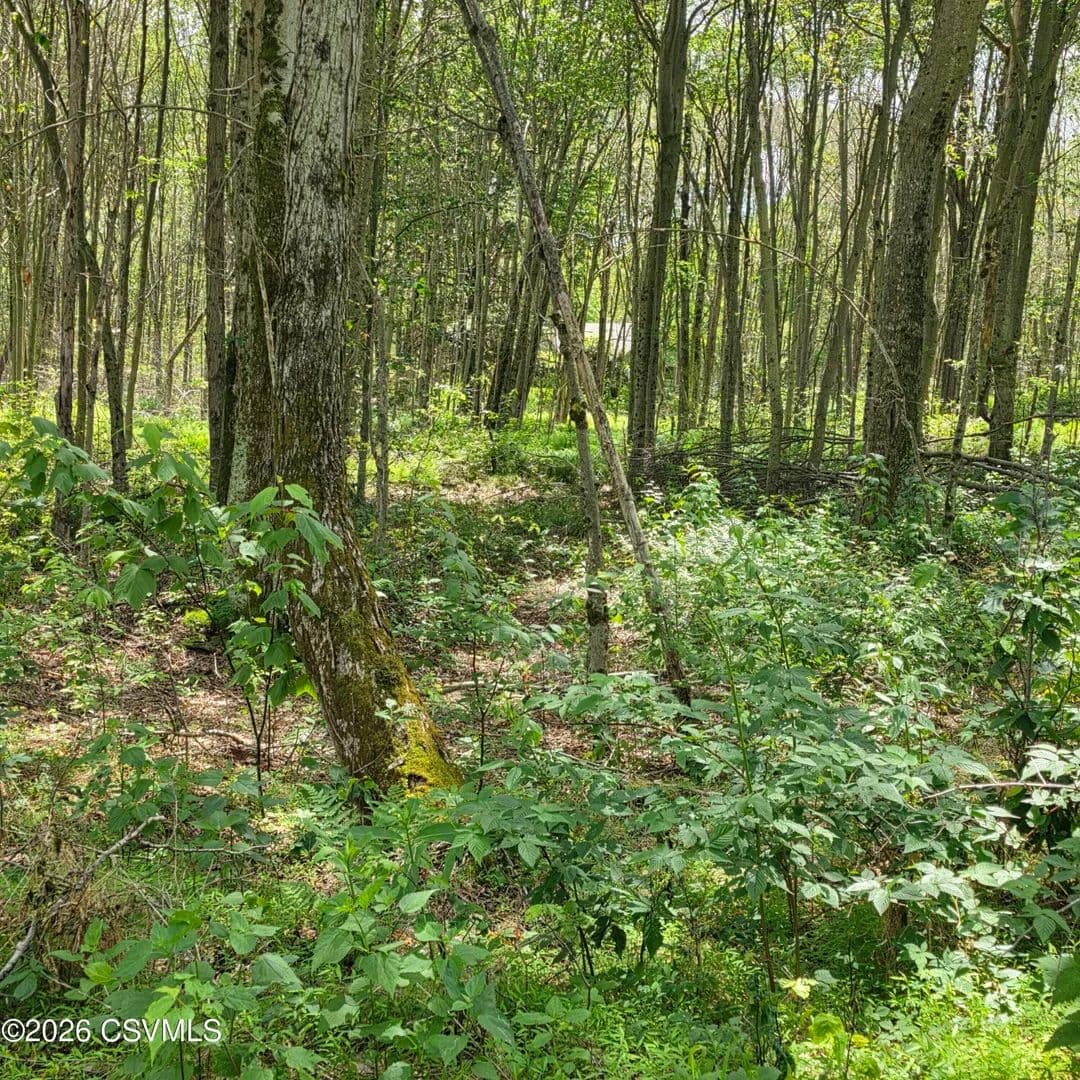 1.8 Acres of Land for Sale in Muncy Valley, PA - Muncy Valley, Pennsylvania, 17758