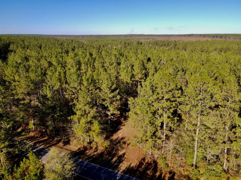 56.7 Acres in Stone County, MS