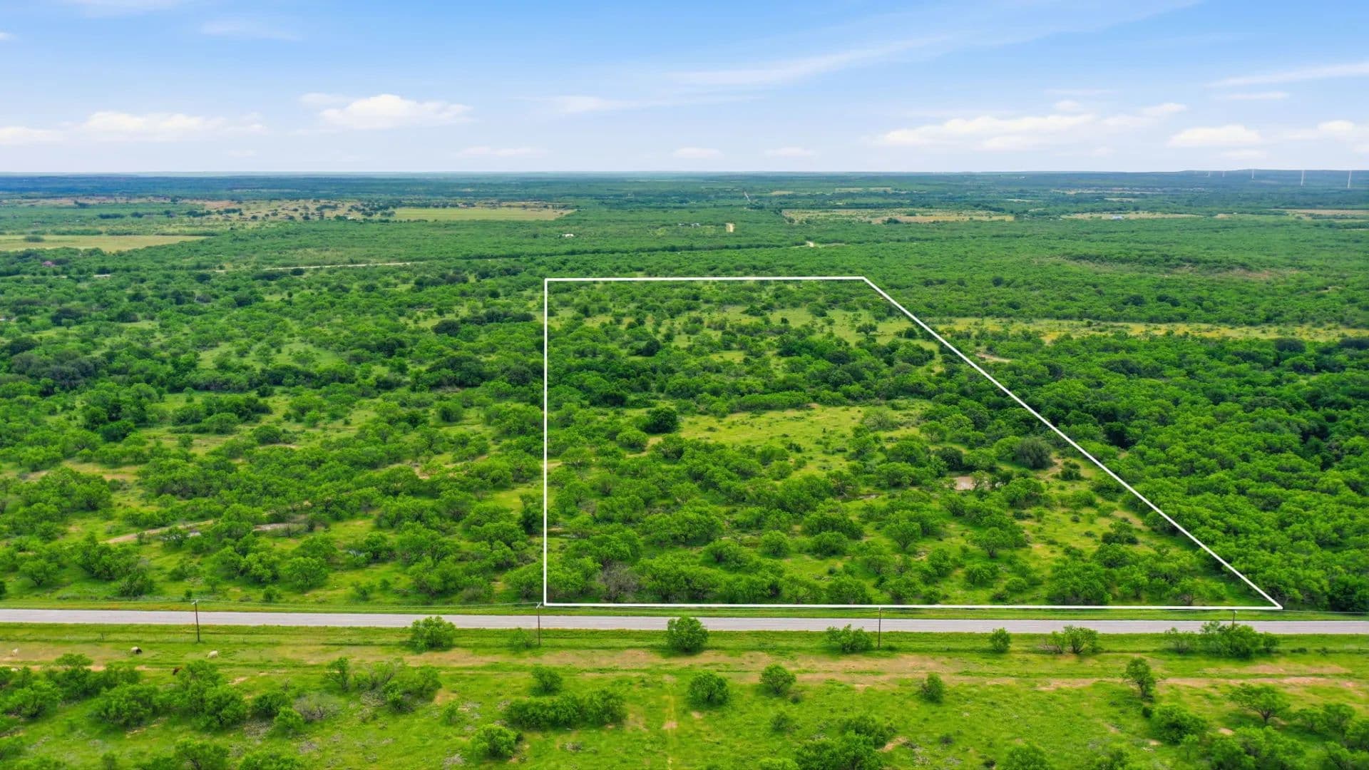 40+/-Acres (Tract 1) FM 880 Moran, TX 76464 - land for sale