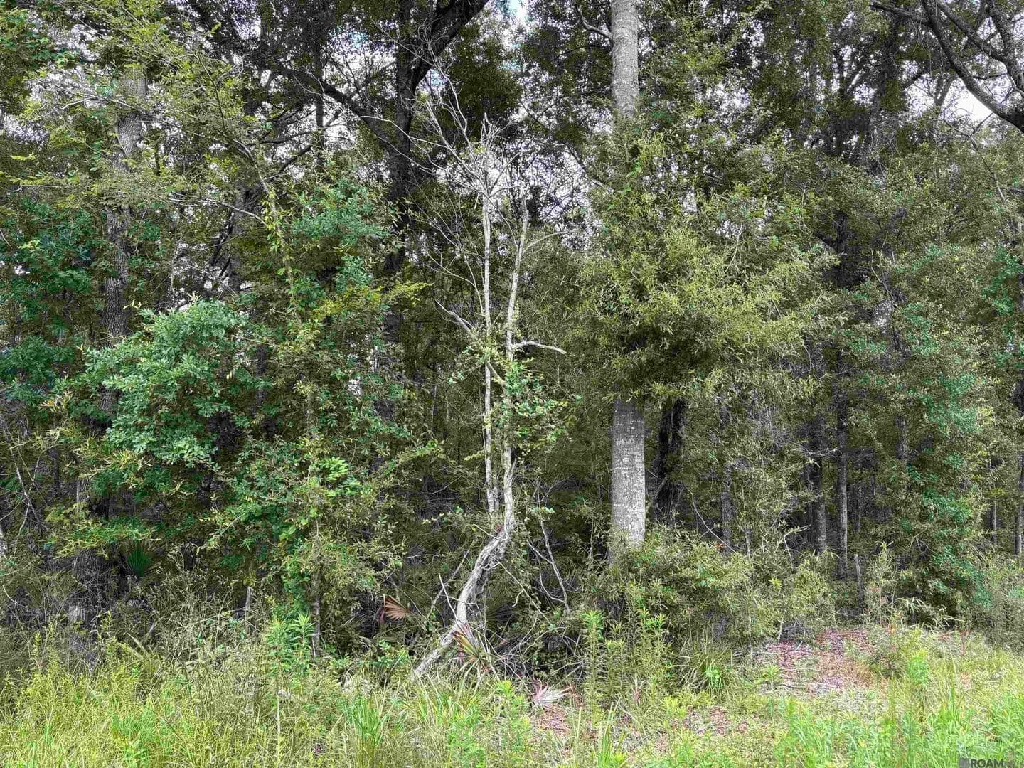 Property from TBD Duff Rd - KW - Walker, Louisiana, 70785