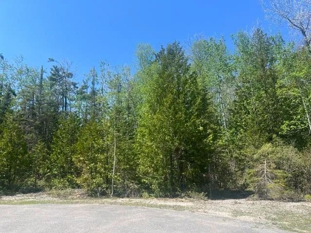 Property from Lot 138 Tiptop Court W - KW - Presque Isle, Michigan, 49777