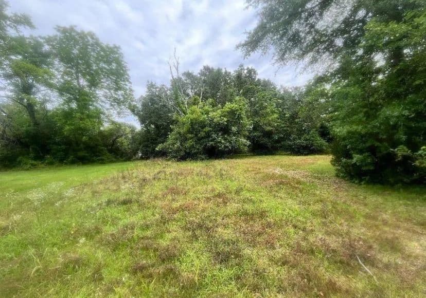Vacant Land in Albany - Albany, Georgia, 31705