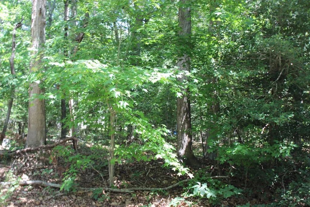 Property from 112 Custom Dr #112 - KW - Greenbackville, Virginia, 23356