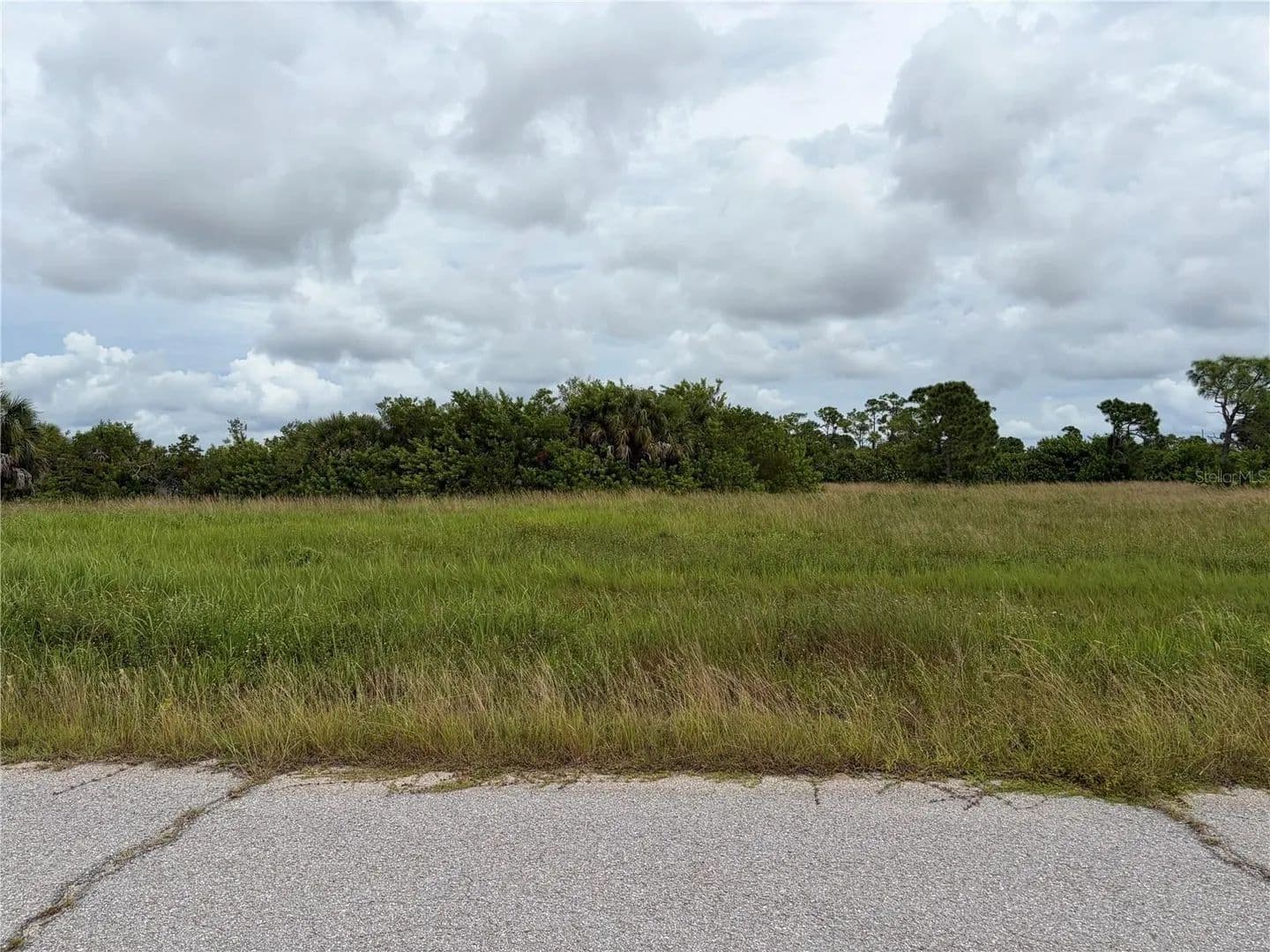 Lots & Land-Other in PLACIDA - land for sale