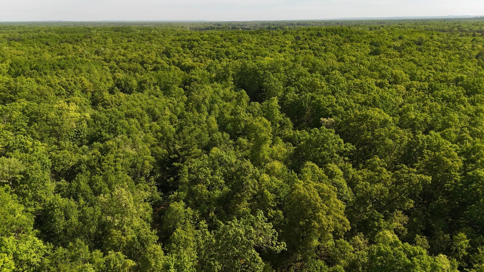 Property from W 7 Mile Road - KW - Irons, Michigan, 49644