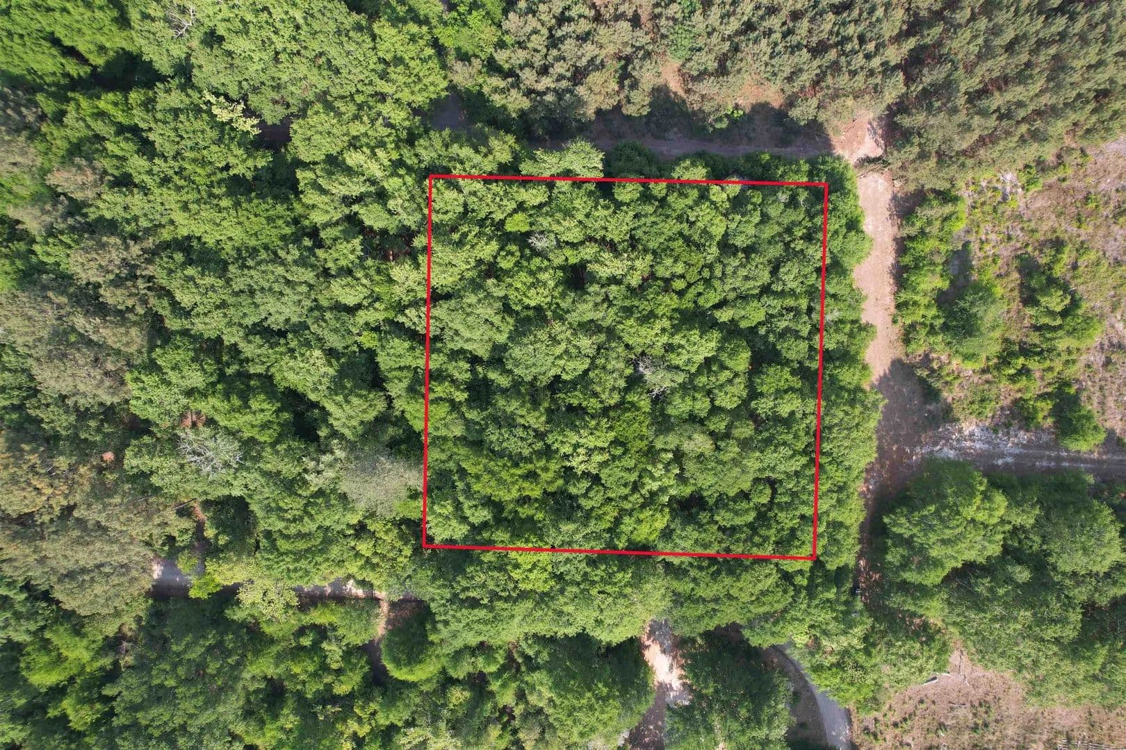 Property from TBD Aldrich St SE - KW - Salley, South Carolina, 29137