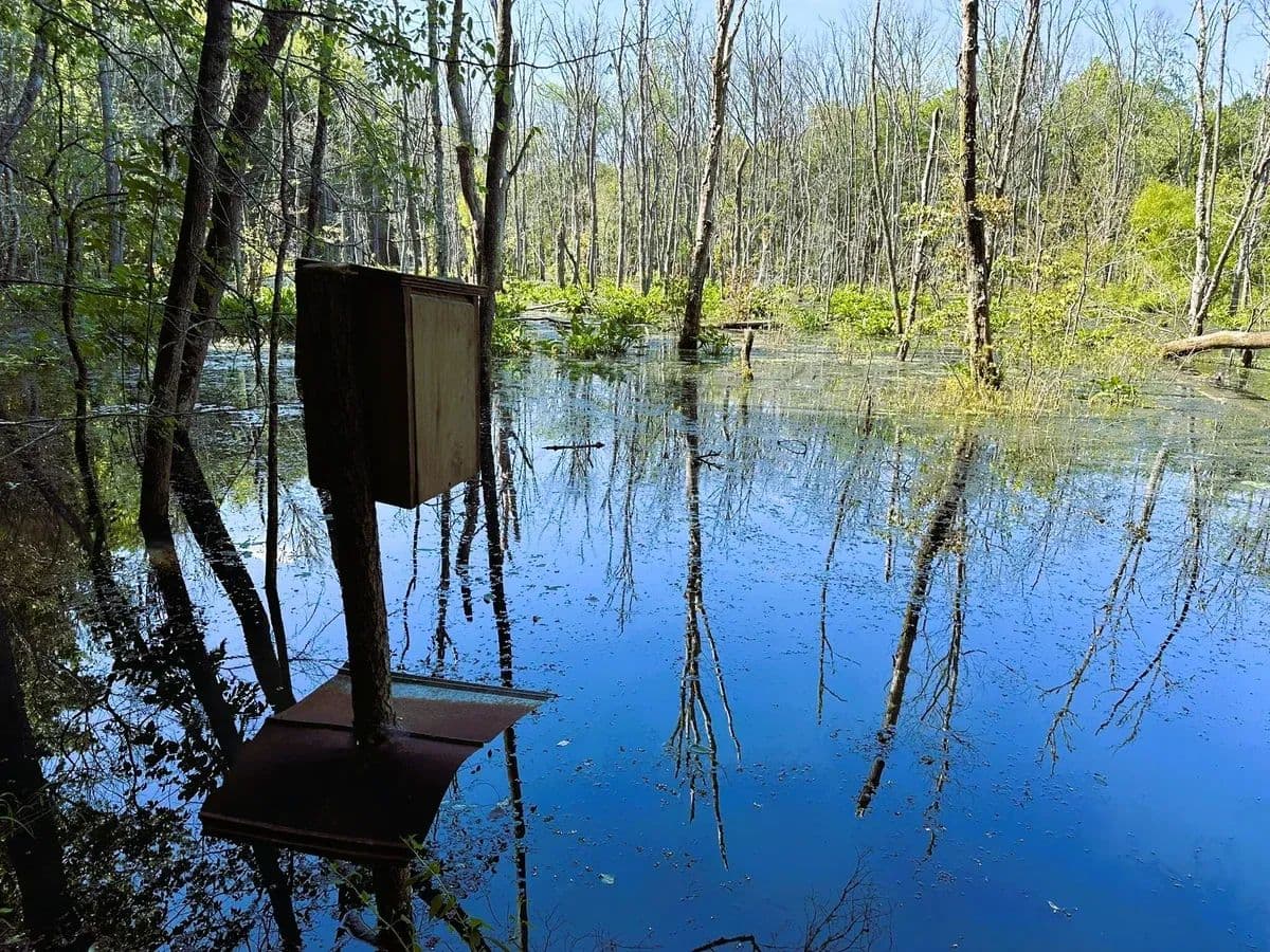 Littlejohn - Jonesville, South Carolina, 29353